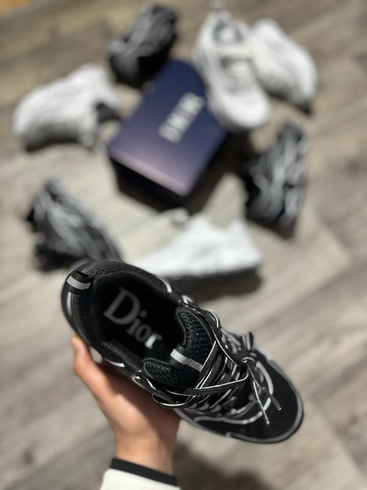 Dior b22