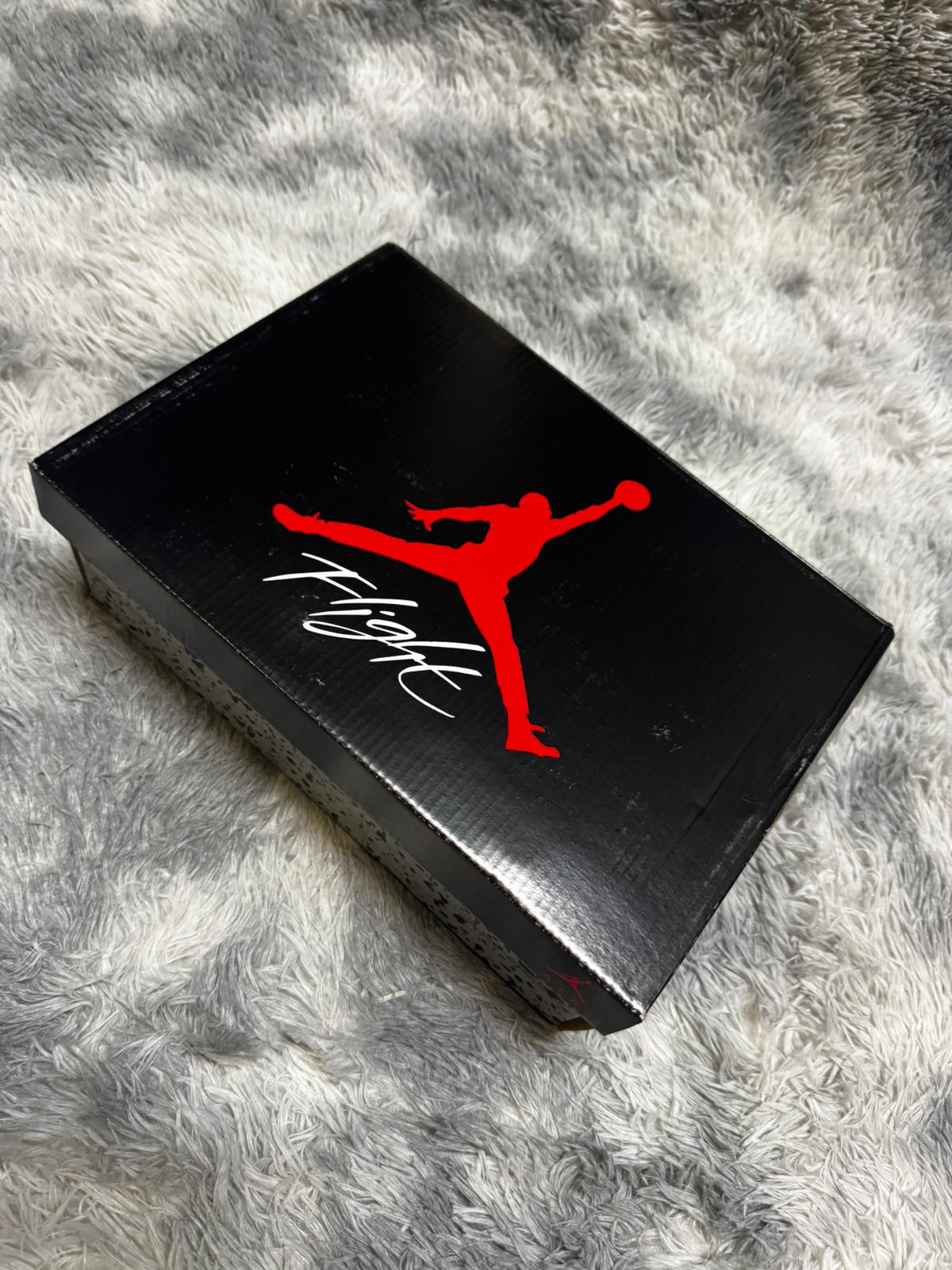 Jordan Retro 4 Frozen Moments